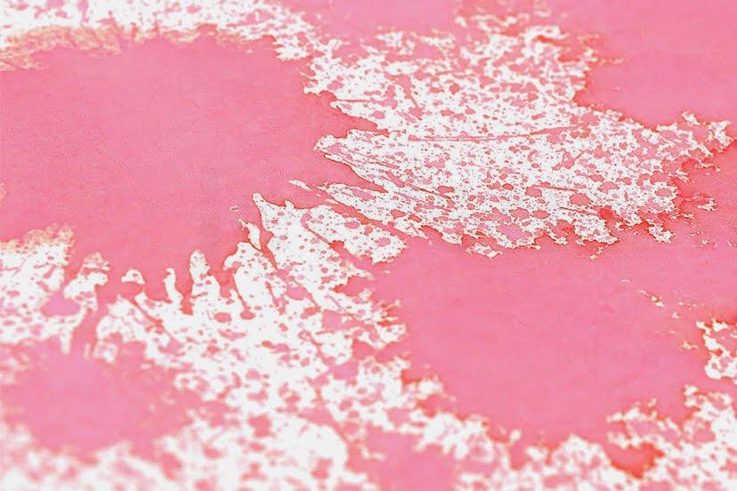 گلبرگ شکوفه گیلاس